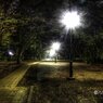 井の頭公園