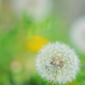 DPP_04241023