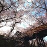 高遠城