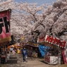 桜の中の屋台村