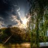 善福寺公園夕日三枚目
