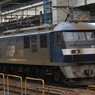 EF210-173