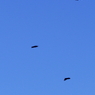 飛行機より高く。