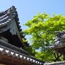P1030611