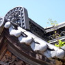 P1030619