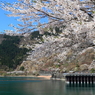 湖畔の春