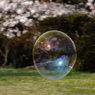 春風そよそよ