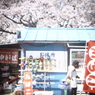花見といえば