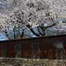 新学期