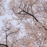 夕日に染まる
