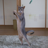 あれ？