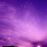 purple-gradation