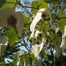 植物園にて