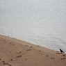 海辺