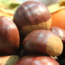 chestnuts