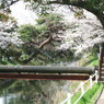桜ノ道