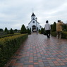 ローズマリー公園44