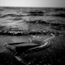 IMG_1028