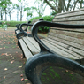 公園スナップ