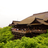 雨の清水寺