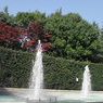 公園の噴水