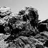 R0019059