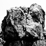 R0019061