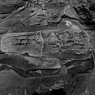 R0019065