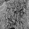 R0019069