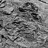 R0019070