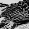 R0019072