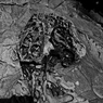 R0019074