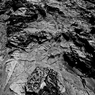 R0019075