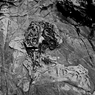 R0019077