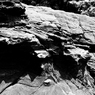 R0019079