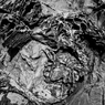 R0019081
