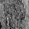 R0019083