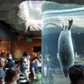 旭山水族館３