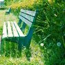 park bench-2