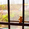 旅館で迎える朝