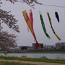泳ぐ