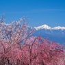 絶景