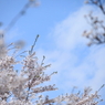 Reach to the sky