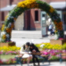 赤レンガ花畑10（ギャラリー用）