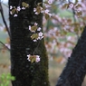高原にて　　♯３