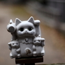 尾道の猫