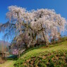 齢を重ねて