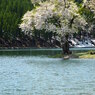 水辺に立つ