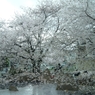 末広がり