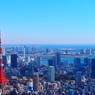 東京タワー